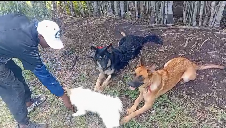 Training Image 1